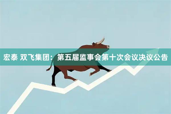 宏泰 双飞集团：第五届监事会第十次会议决议公告
