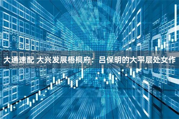 大通速配 大兴发展梧桐府：吕保明的大平层处女作
