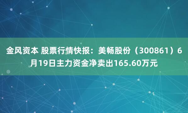 金风资本 股票行情快报：美畅股份（300861）6月19日主力资金净卖出165.60万元