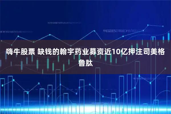 嗨牛股票 缺钱的翰宇药业募资近10亿押注司美格鲁肽