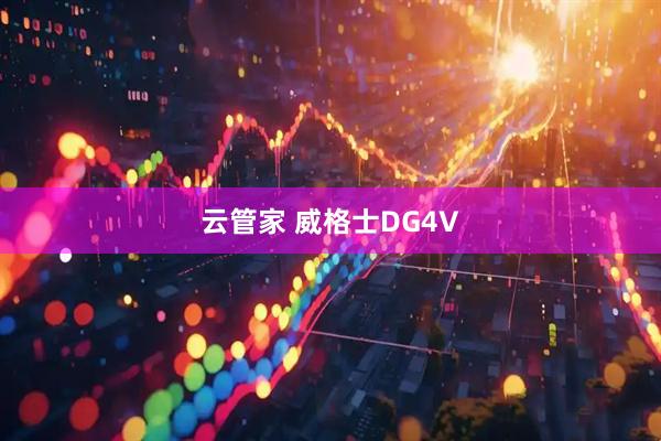 云管家 威格士DG4V