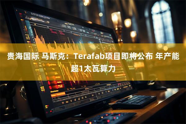 贵海国际 马斯克：Terafab项目即将公布 年产能超1太瓦算力